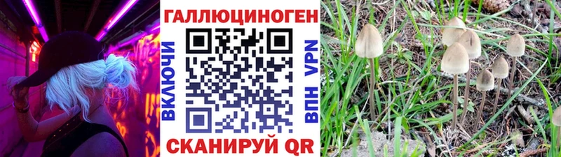Псилоцибиновые грибы Psilocybine cubensis Красноперекопск